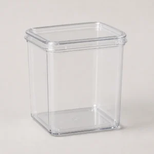 Unbranded clear PET container with fitted lid