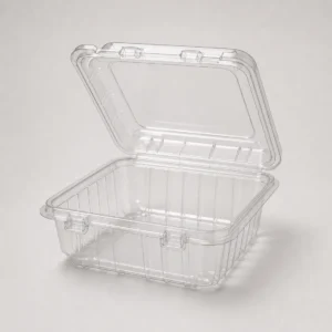 Unbranded clear PET clamshell package with hinge and locking tabs